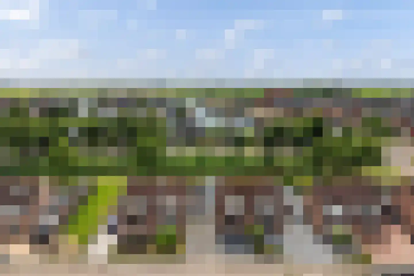 Weegbree 20 Sneek thumbnail 9