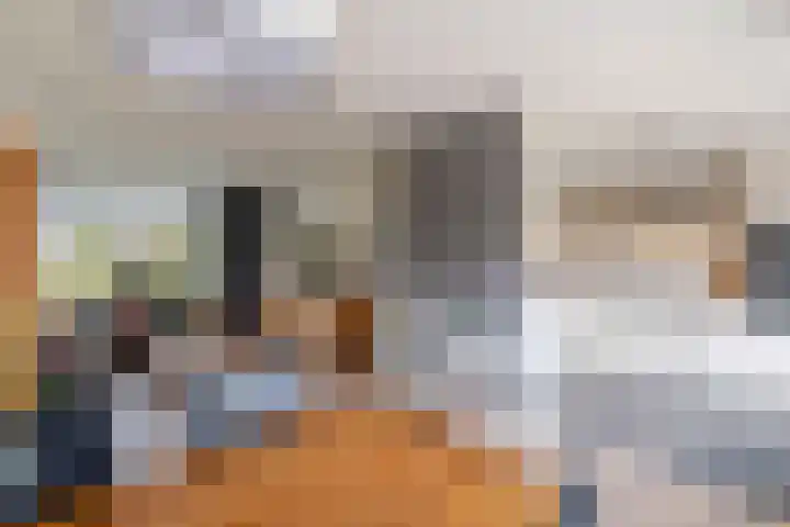 Weegbree 20 Werkendam thumbnail 16
