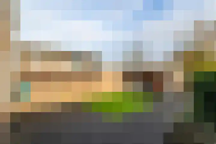 Weegbree 20 Werkendam thumbnail 33