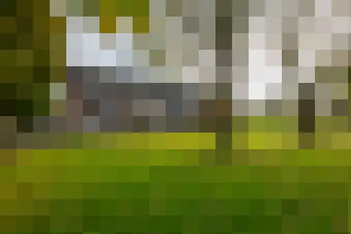 Weegbree 20 Werkendam thumbnail 36