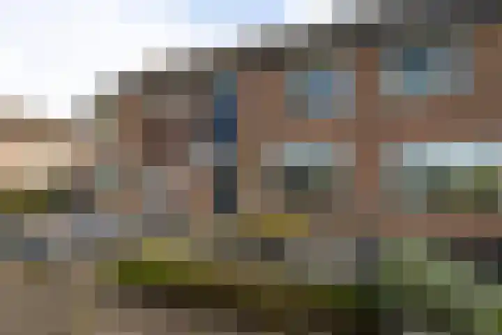 Weegbree 20 Werkendam thumbnail 6