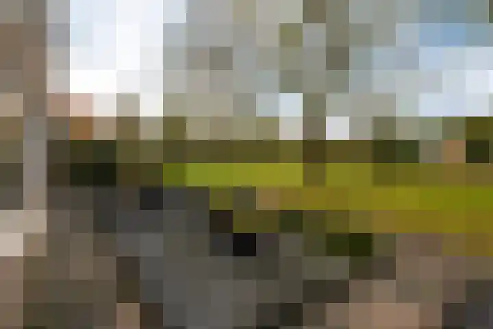 Weegbree 20 Werkendam thumbnail 8
