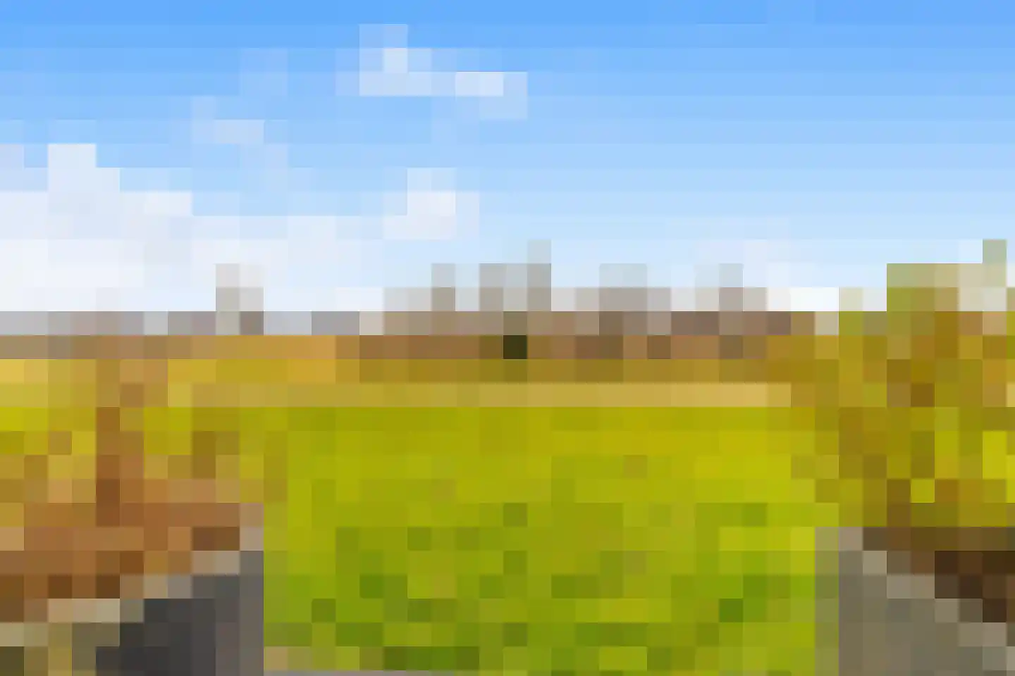 Weegbree 21 Heerhugowaard thumbnail 28