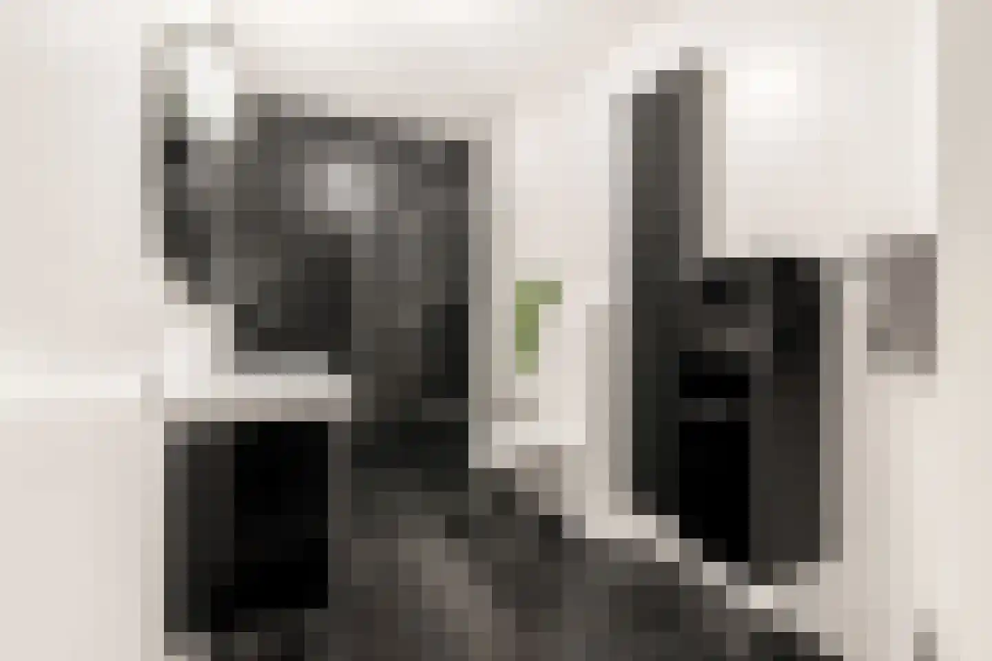 Weegbree 21 Heerhugowaard thumbnail 33