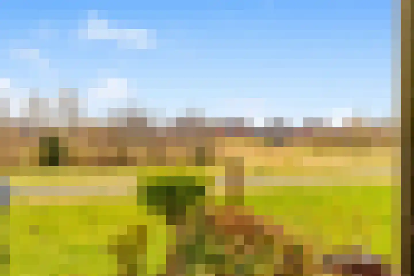 Weegbree 21 Heerhugowaard thumbnail 41