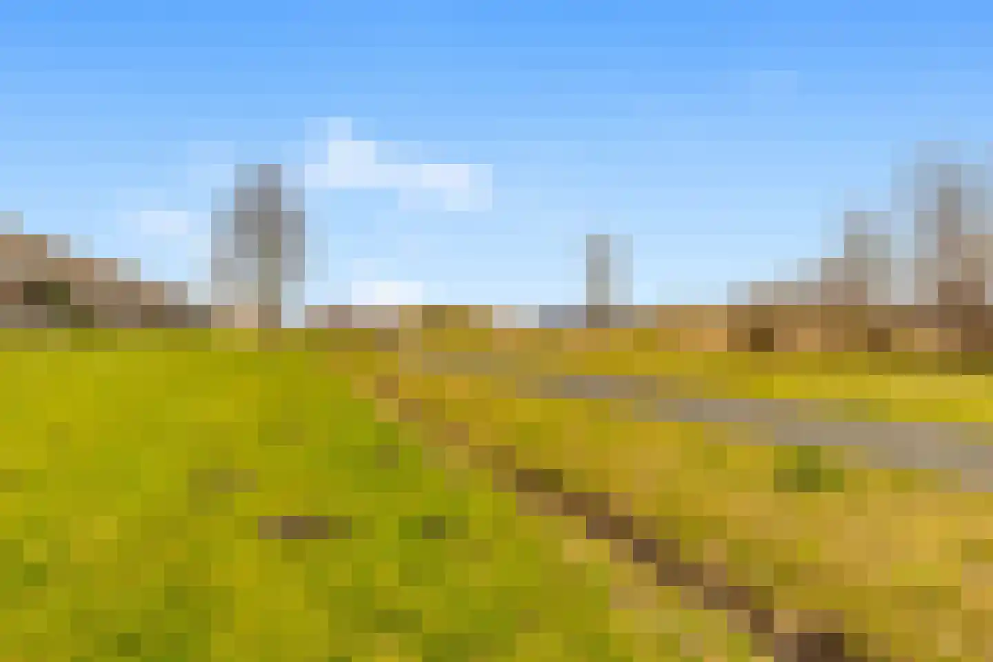 Weegbree 21 Heerhugowaard thumbnail 42