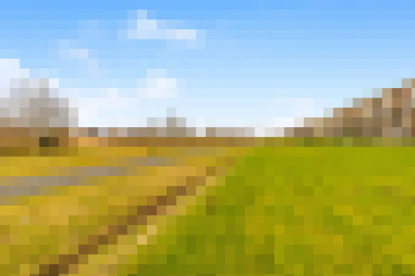 Weegbree 21 Heerhugowaard thumbnail 43