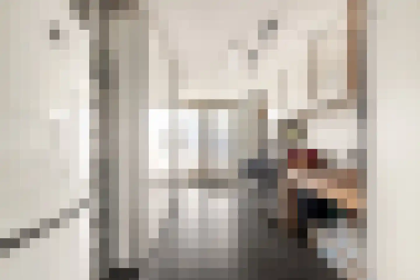 Weegbree 21 Heerhugowaard thumbnail 8