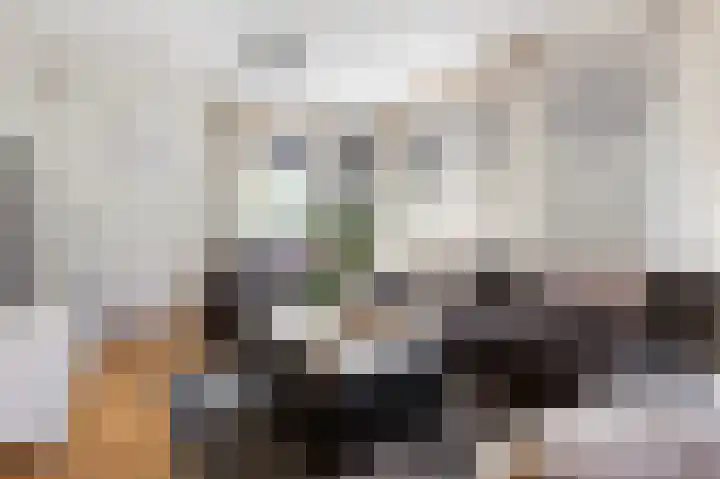 Weegbree 22 Grootegast thumbnail 13