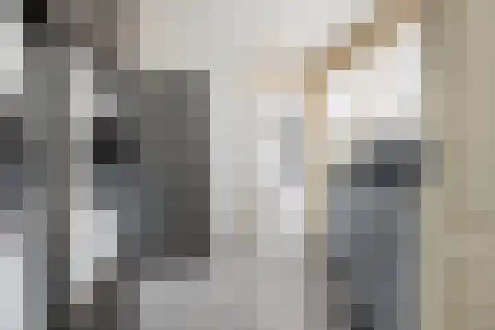 Weegbree 22 Grootegast thumbnail 14