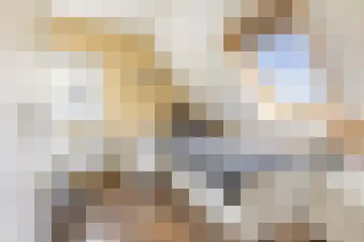 Weegbree 22 Grootegast thumbnail 27