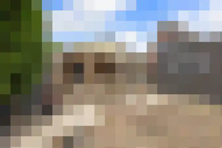 Weegbree 22 Grootegast thumbnail 31