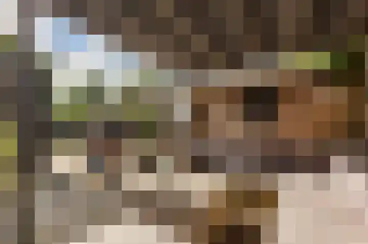 Weegbree 22 Grootegast thumbnail 32