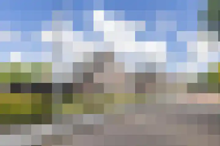Weegbree 22 Grootegast thumbnail 35