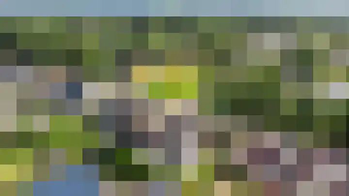 Weegbree 22 Grootegast thumbnail 39