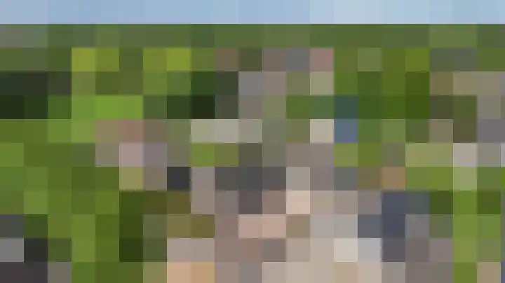 Weegbree 22 Grootegast thumbnail 41