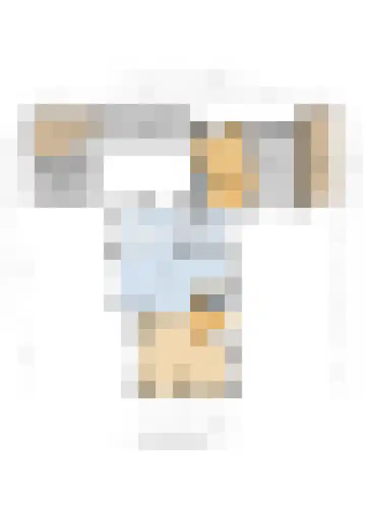Weegbree 22 Grootegast thumbnail 42