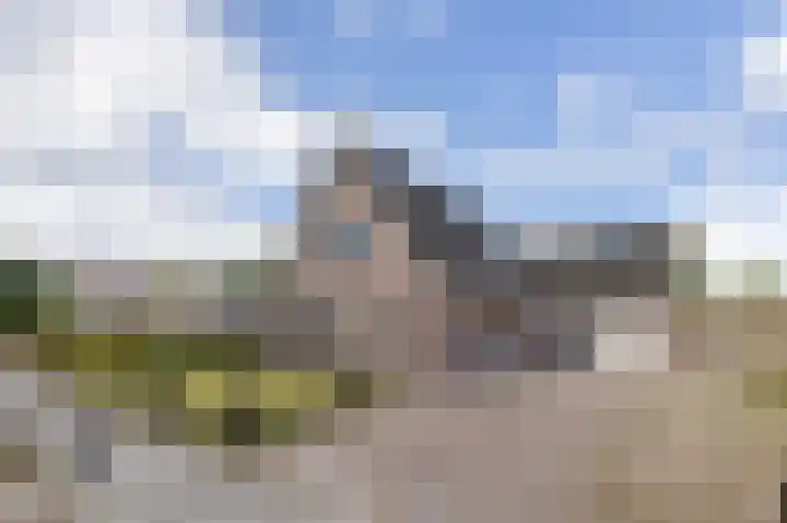 Weegbree 22 Grootegast thumbnail 45
