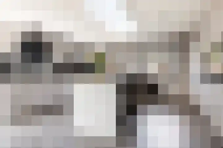Weegbree 22 Grootegast thumbnail 6