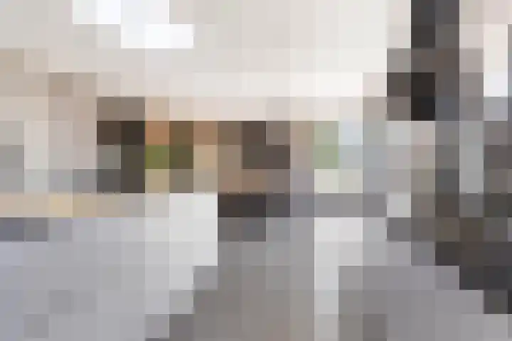 Weegbree 22 Grootegast thumbnail 8