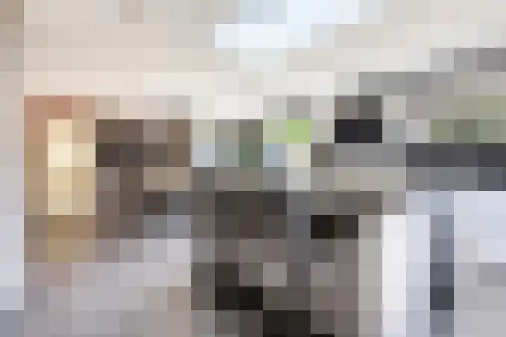 Weegbree 22 Grootegast thumbnail 9