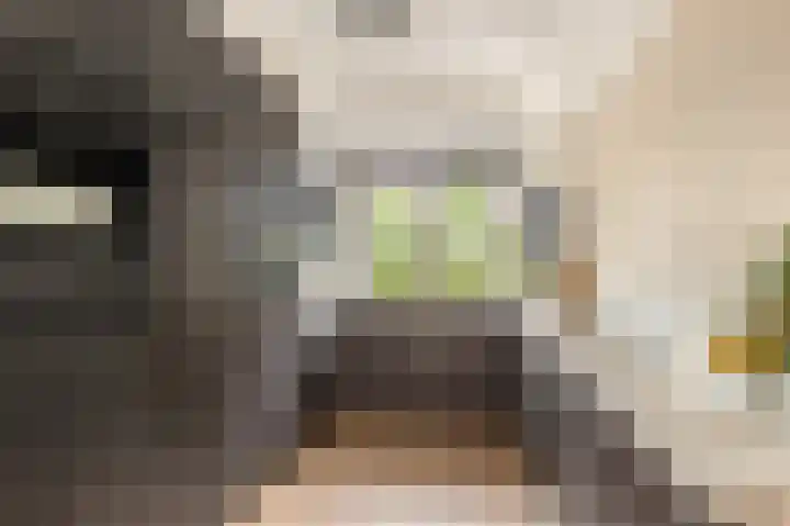 Weegbree 22 Heiloo thumbnail 11