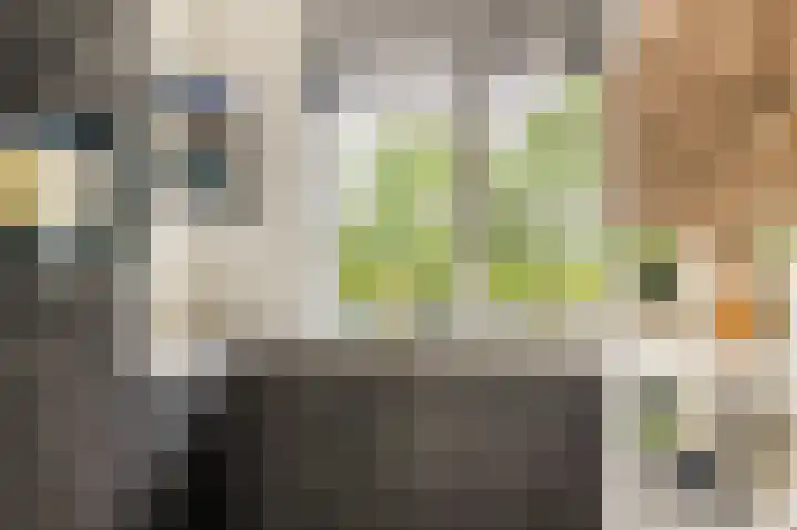 Weegbree 22 Heiloo thumbnail 13
