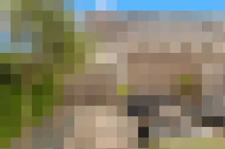 Weegbree 22 Heiloo thumbnail 16