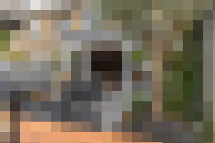 Weegbree 22 Heiloo thumbnail 17