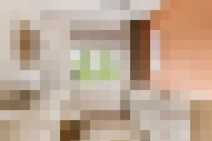 Weegbree 22 Heiloo thumbnail 20