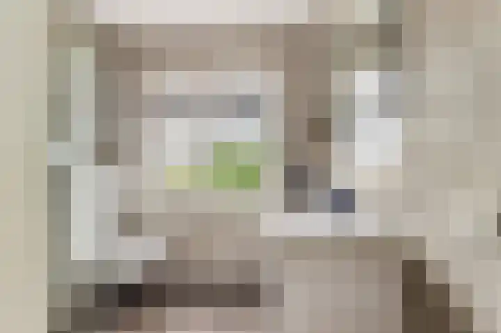 Weegbree 22 Heiloo thumbnail 24