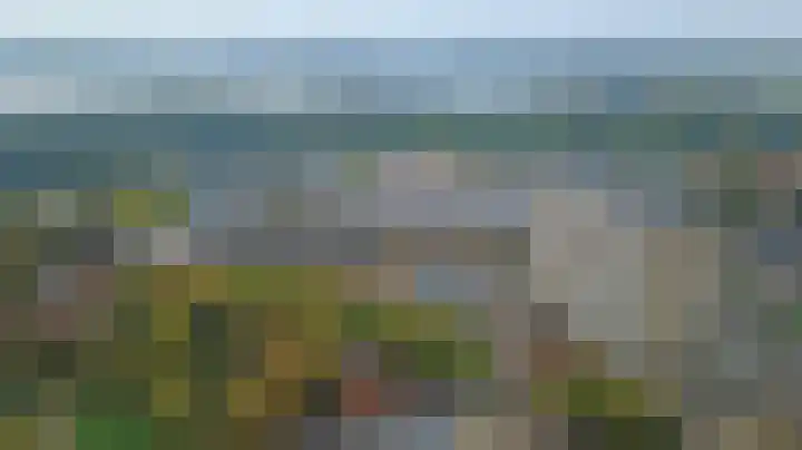 Weegbree 22 Heiloo thumbnail 26