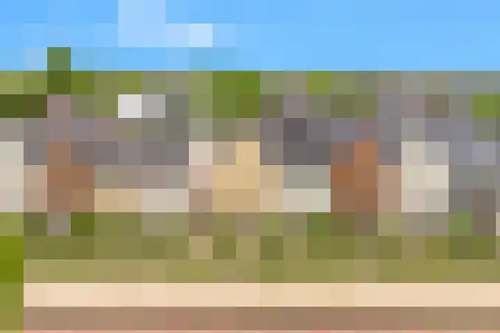 Weegbree 22 Heiloo thumbnail 32