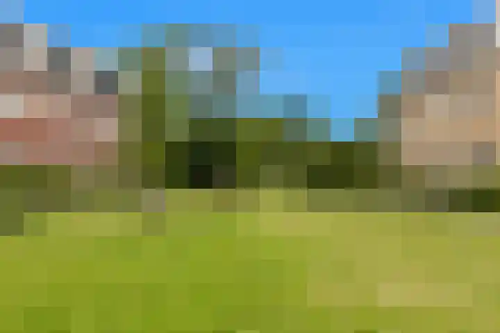 Weegbree 22 Heiloo thumbnail 34