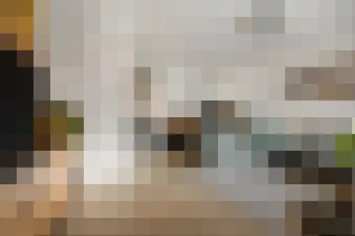 Weegbree 22 Heiloo thumbnail 4