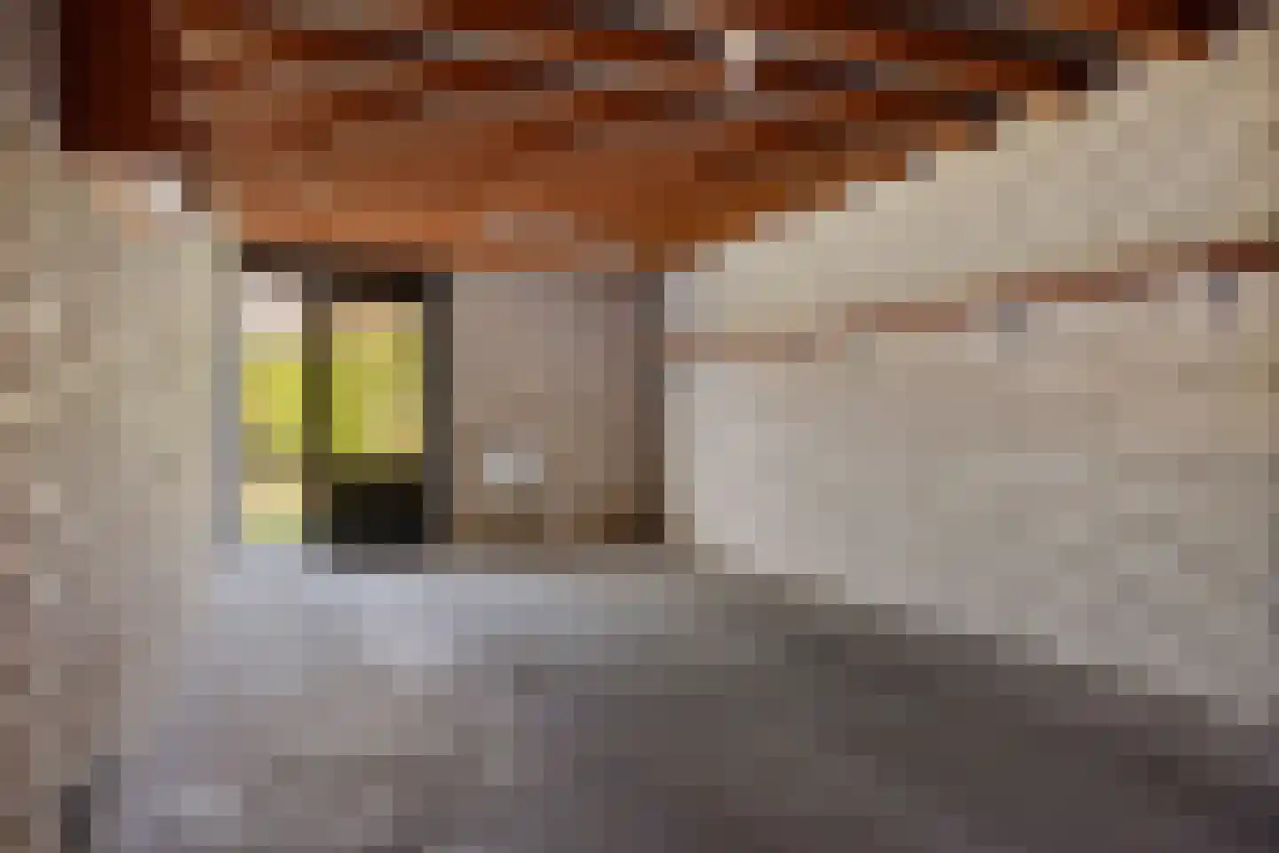 Weegbree 23 Delden thumbnail 34