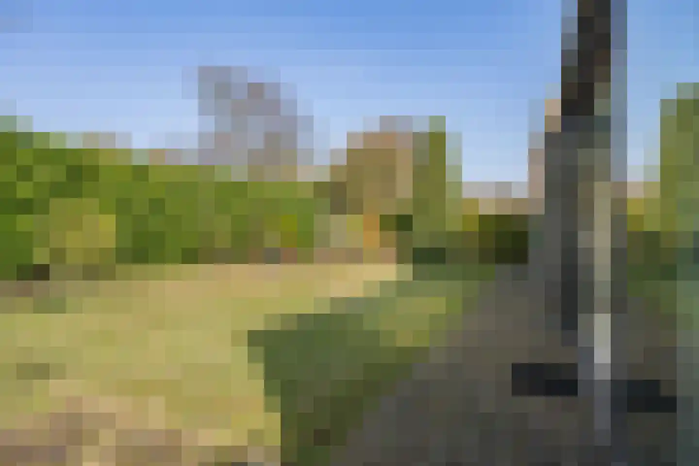 Weegbree 23 Delden thumbnail 52
