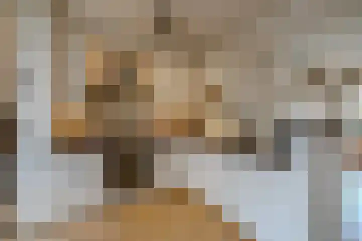 Weegbree 23 Opmeer thumbnail 15