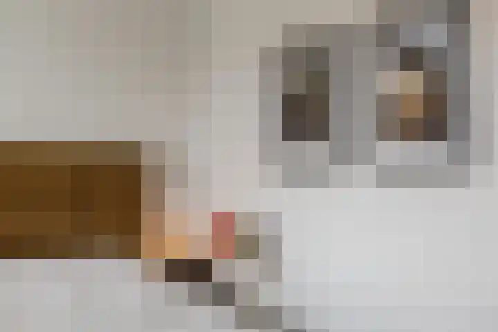 Weegbree 23 Opmeer thumbnail 23