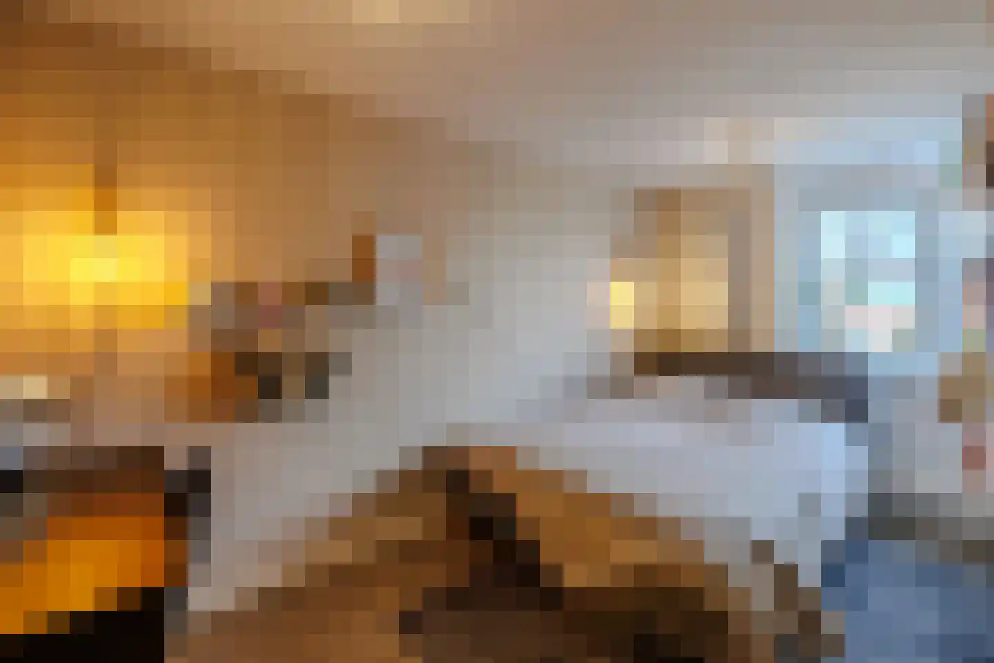 Weegbree 23 Opmeer thumbnail 27