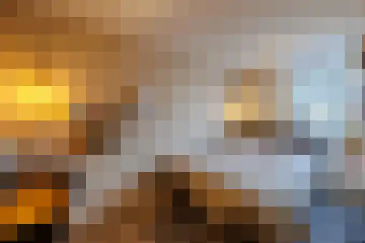 Weegbree 23 Opmeer thumbnail 27