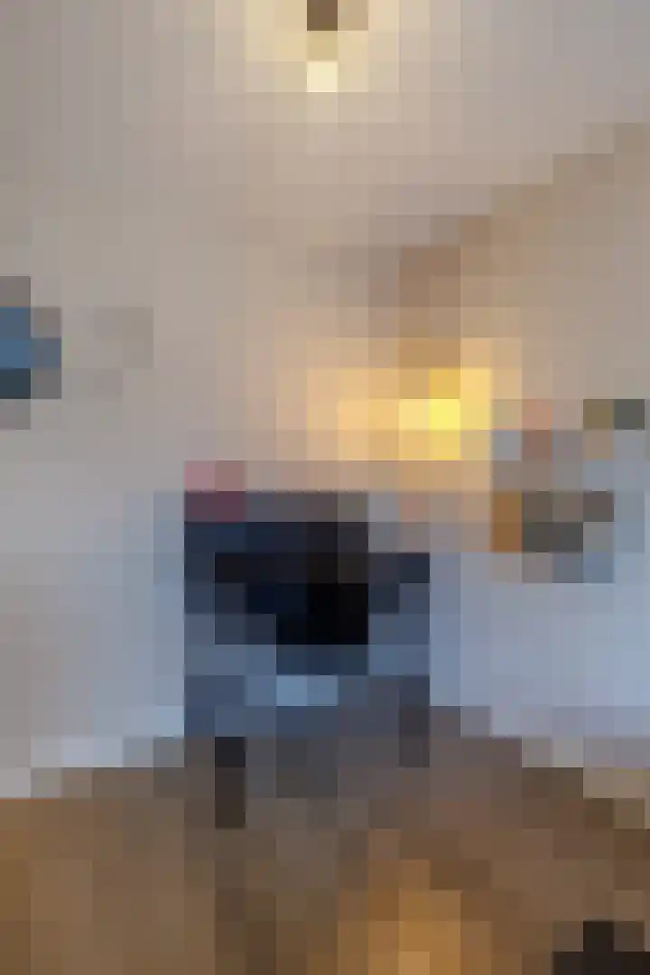 Weegbree 23 Opmeer thumbnail 28