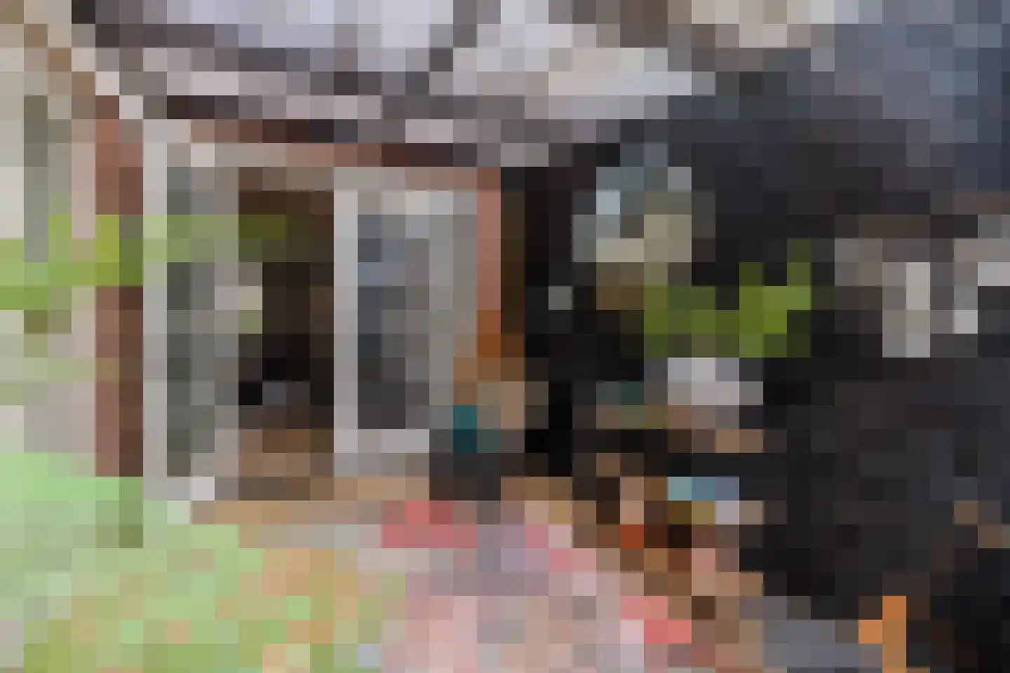 Weegbree 23 Opmeer thumbnail 4