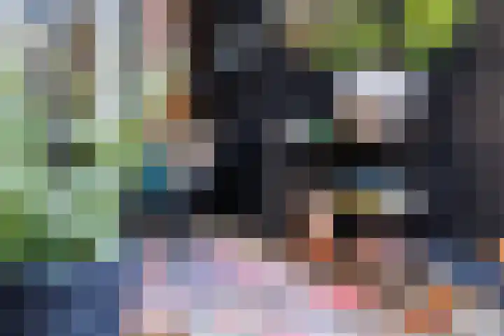 Weegbree 23 Opmeer thumbnail 43