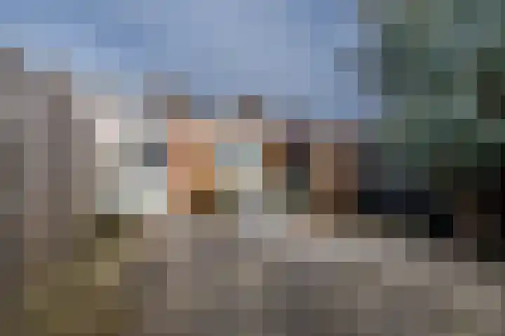Weegbree 23 Opmeer thumbnail 45