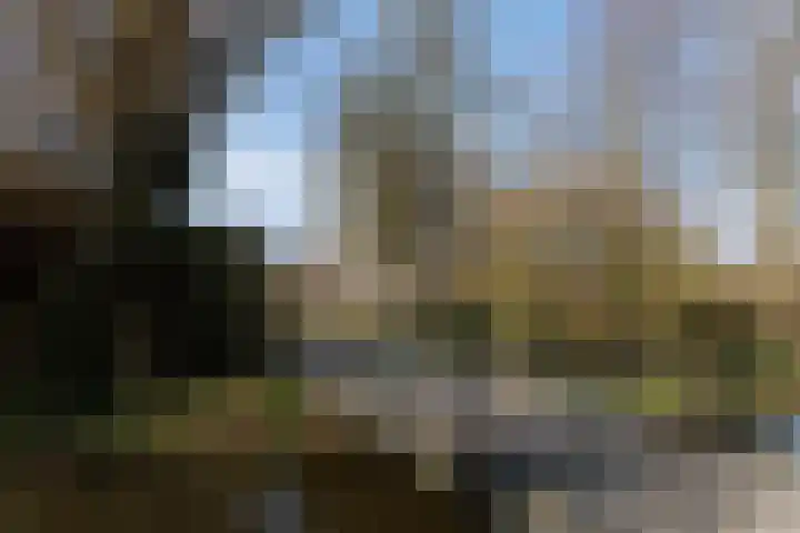 Weegbree 23 Opmeer thumbnail 50