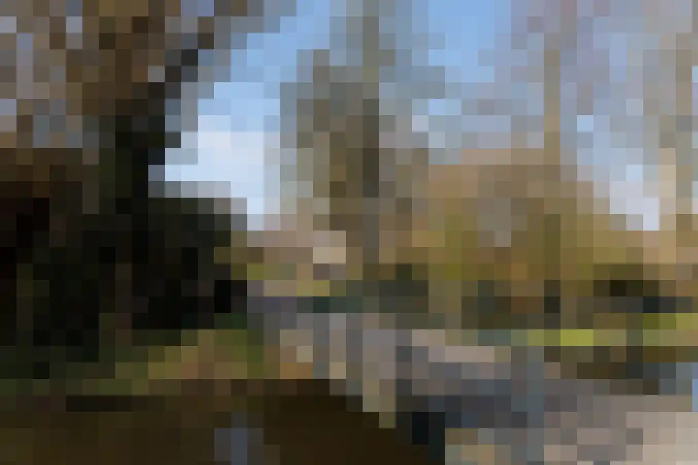 Weegbree 23 Opmeer thumbnail 50