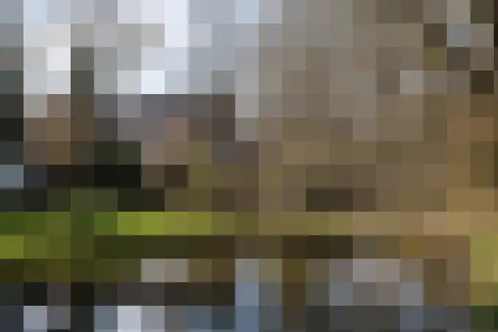 Weegbree 23 Opmeer thumbnail 51