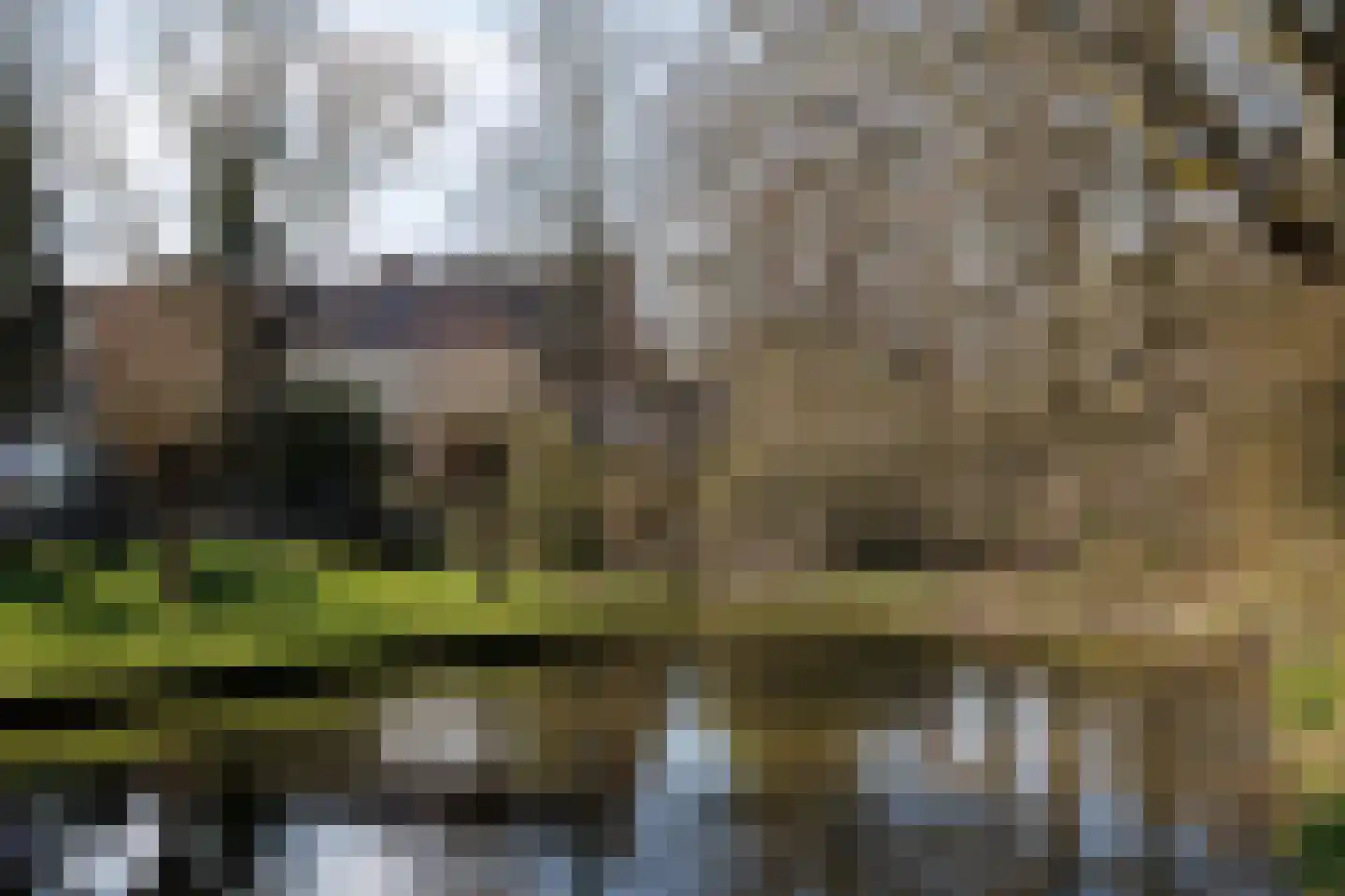 Weegbree 23 Opmeer thumbnail 51