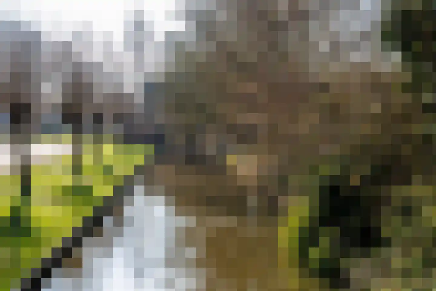 Weegbree 23 Opmeer thumbnail 52